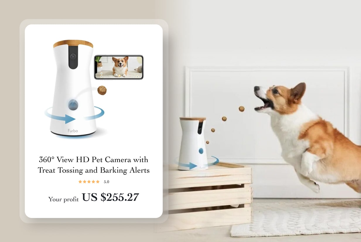 pet feeder and camera