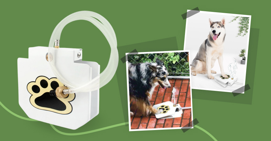 Automatic outdoor dog fountain, one of the best dropshipping products to start selling this week